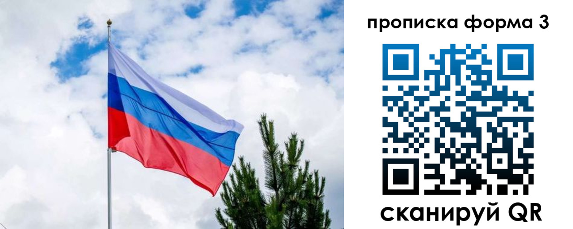 прописка для школы в Менделеевске